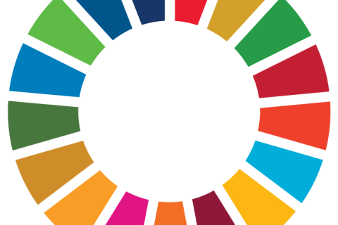 sdg_icon_wheel_rgb