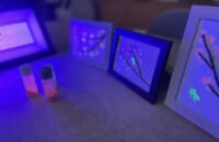 IMG_1784
