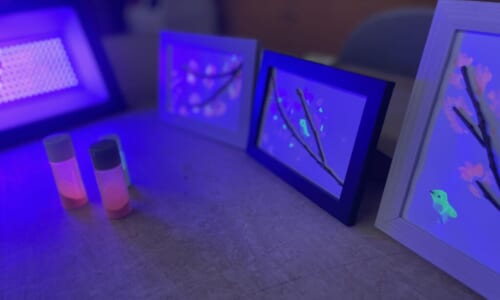IMG_1784