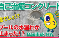 スクリーンショット 2026-02-18 132222