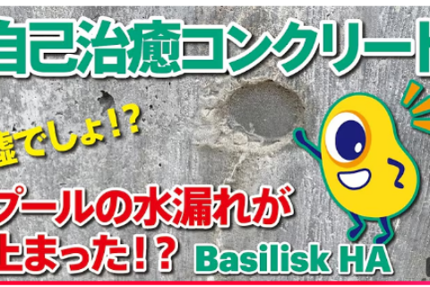 スクリーンショット 2026-02-18 132222