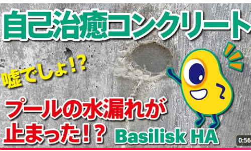 スクリーンショット 2026-02-18 132222