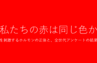 スクリーンショット 2026-02-22 153315