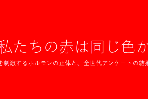 スクリーンショット 2026-02-22 153315