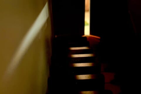 IMG_2251